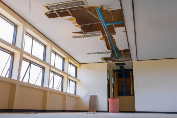 Best Flood restoration services  in Lansdowne, MD