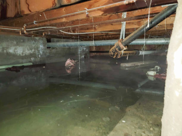 Best Fire Damage Restoration  in Lansdowne, MD