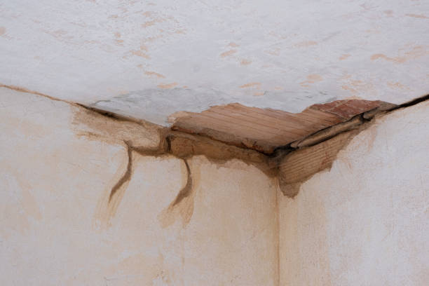 Best Local water damage restoration  in Lansdowne, MD