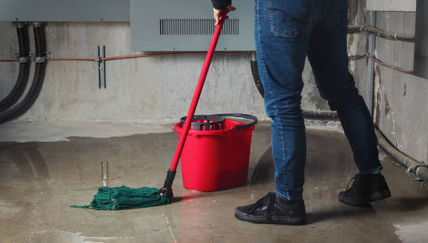 Best Water damage cleanup near me  in Lansdowne, MD
