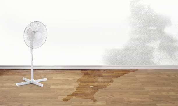 Best Emergency water damage restoration  in Lansdowne, MD