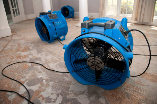 Best Water damage restoration cost  in Lansdowne, MD