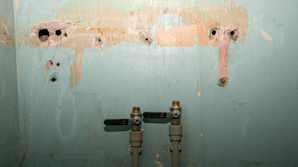 Carpet water damage restoration in MD