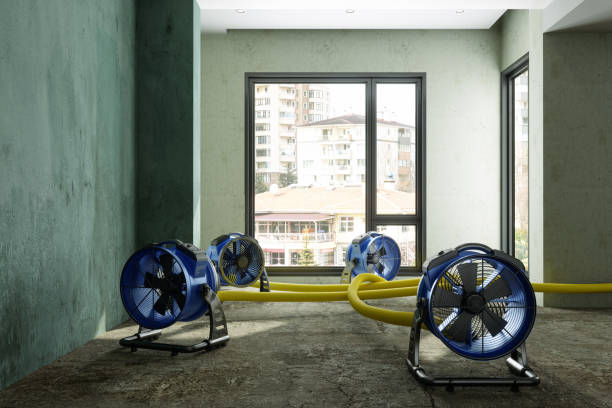 Best Carpet water damage restoration  in Lansdowne, MD