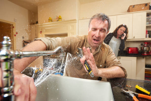 Best Carpet water damage restoration  in Lansdowne, MD